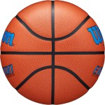 Wilson Evolution Basketballs