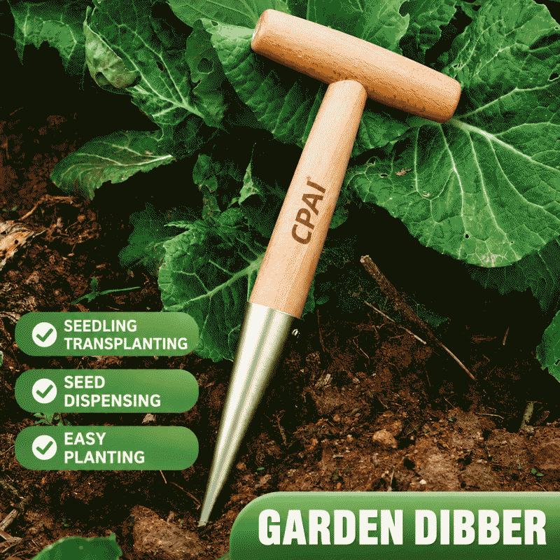 Sowing, hole drilling, transplanting, topdressing, stainless steel horticultural vegetable planting, seedling raising, flower sowing, seed sowing tools, seedlings