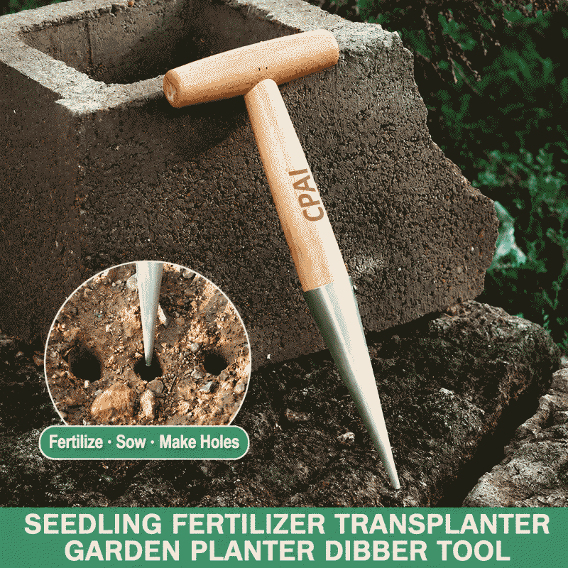 Sowing, hole drilling, transplanting, topdressing, stainless steel horticultural vegetable planting, seedling raising, flower sowing, seed sowing tools, seedlings