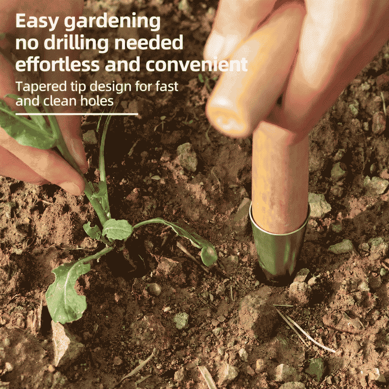 Sowing, hole drilling, transplanting, topdressing, stainless steel horticultural vegetable planting, seedling raising, flower sowing, seed sowing tools, seedlings