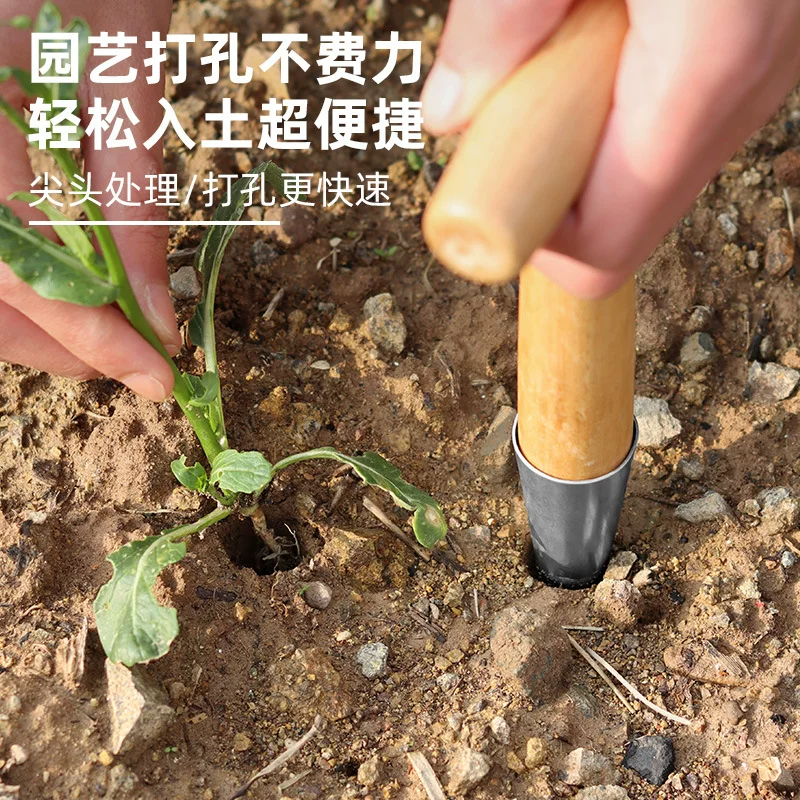播种打洞器移苗追肥不锈钢园艺种菜育苗种花播籽器工具种苗