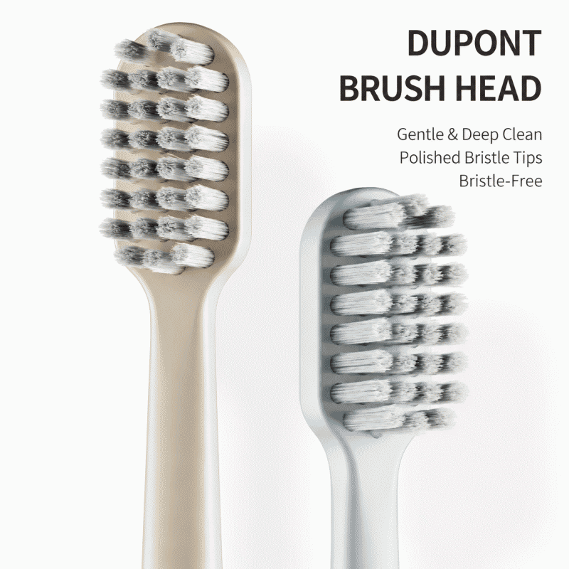 Household intelligent fully automatic cleaning soft-bristled button-type USB sonic vibration toothbrush wonder