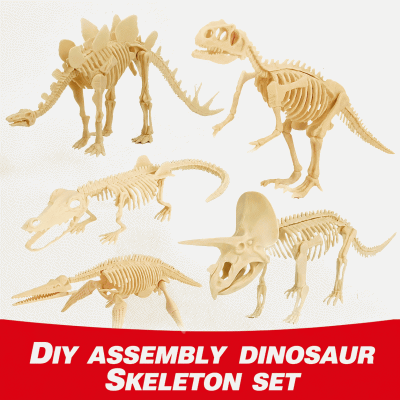 Dinosaur skeleton model, archaeological excavation toy, simulated dinosaur fossil, assembly, treasure hunting tool