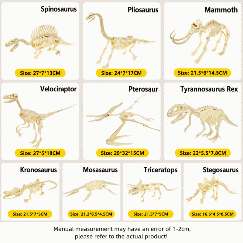 Dinosaur skeleton model, archaeological excavation toy, simulated dinosaur fossil, assembly, treasure hunting tool