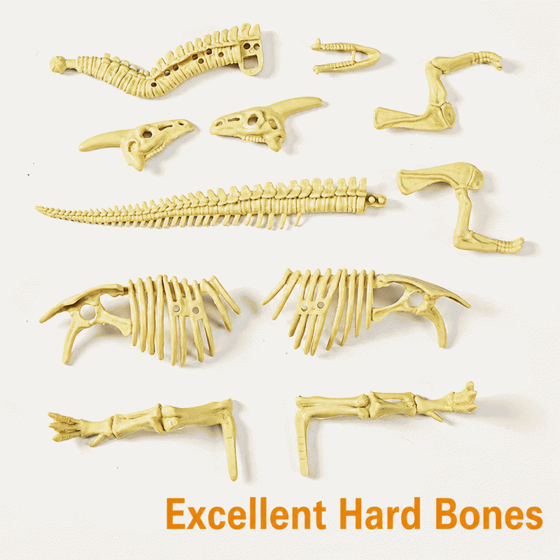 Dinosaur skeleton model, archaeological excavation toy, simulated dinosaur fossil, assembly, treasure hunting tool