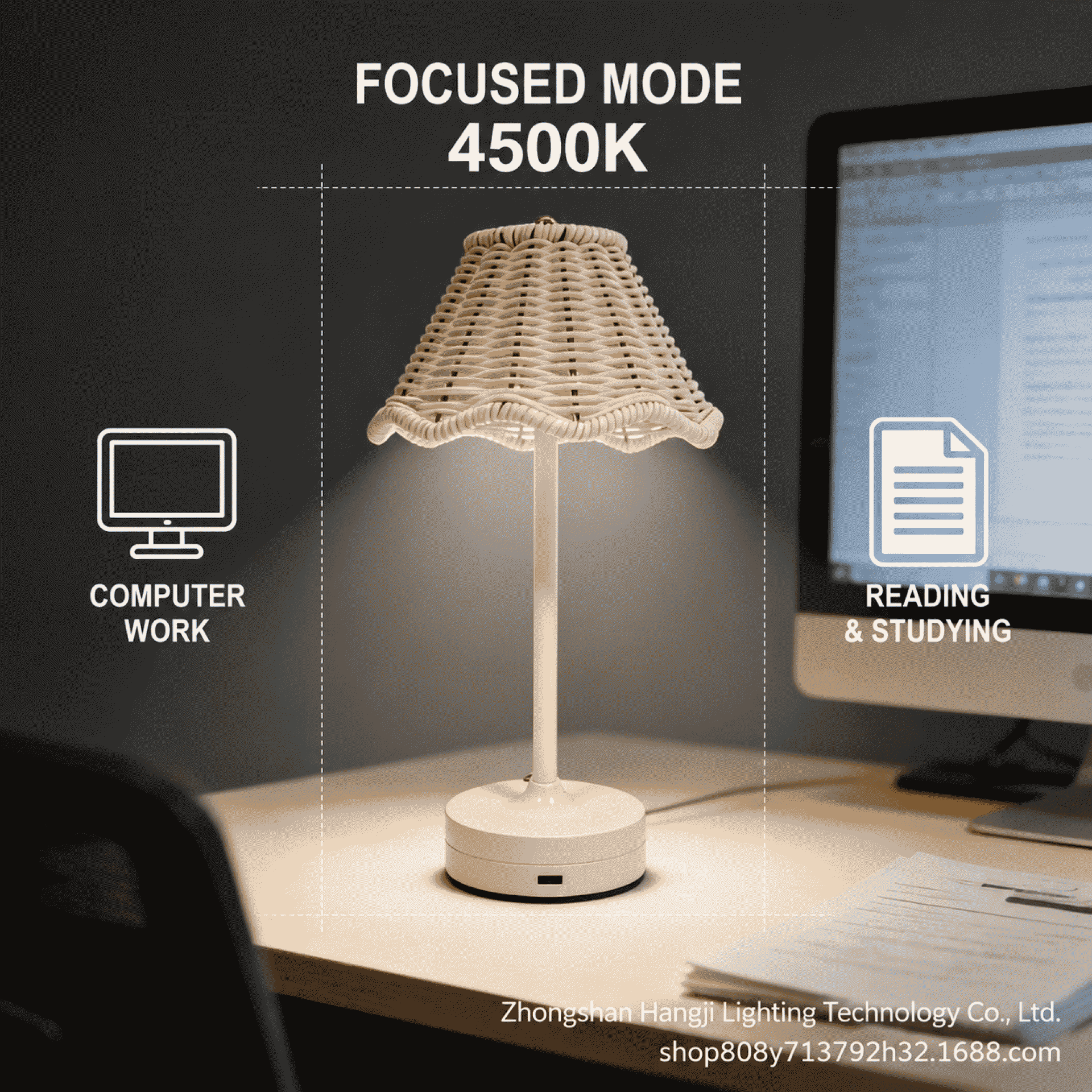 LED charging table lamp, vintage rattan weave, atmosphere night light, outdoor camping, bar, restaurant, living room, bedroom, table lamp