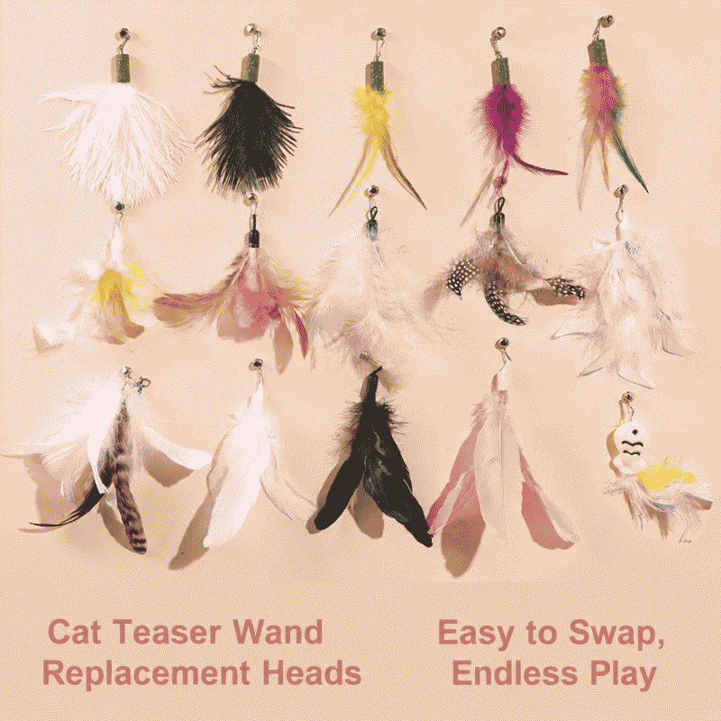 Cat teaser replacement head, bell, feather, cat entertainment toy, cat teaser accessory, cat toy, pet supplies