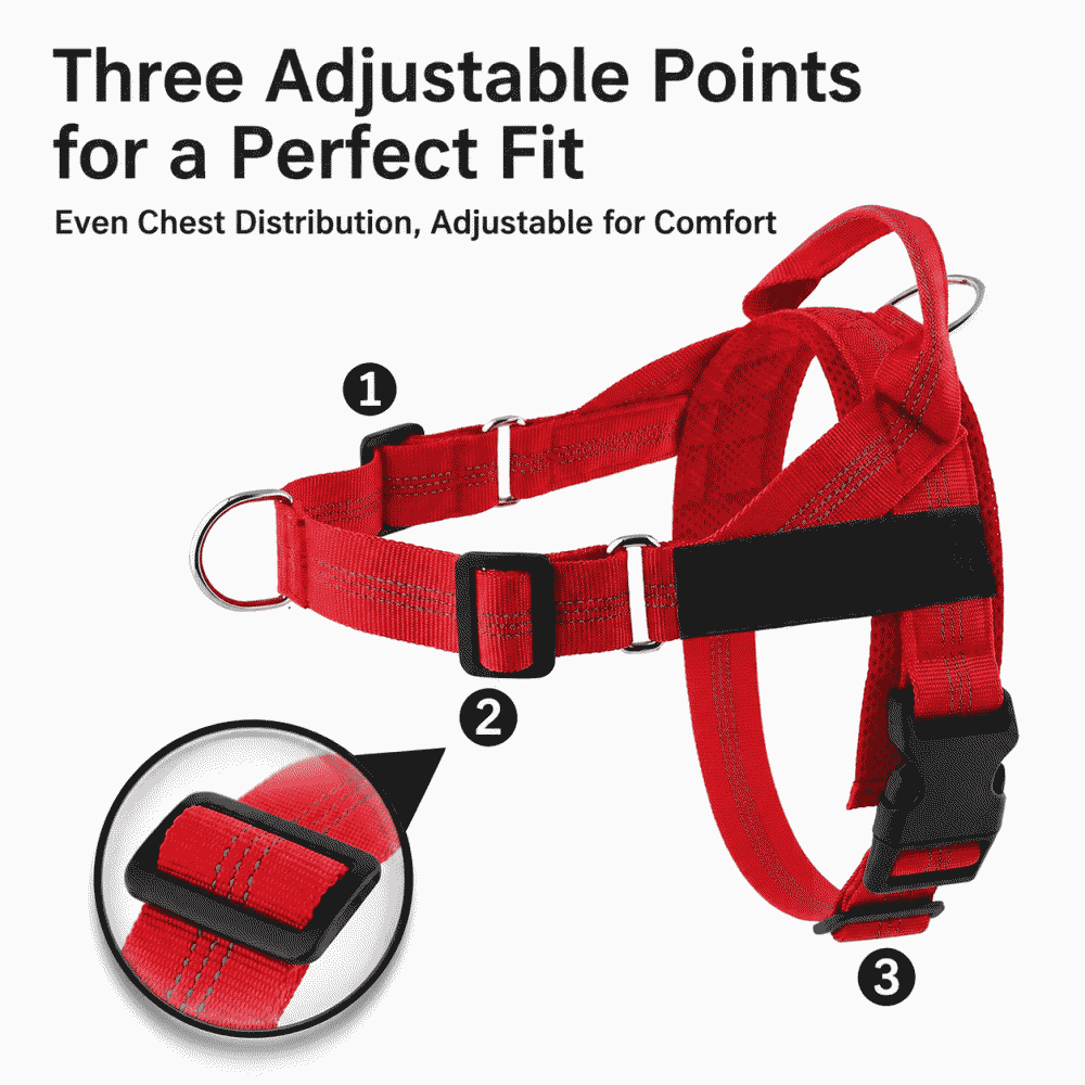 Easy-to-fit lightweight dog harness with medium and large explosion-proof border collie pet leash