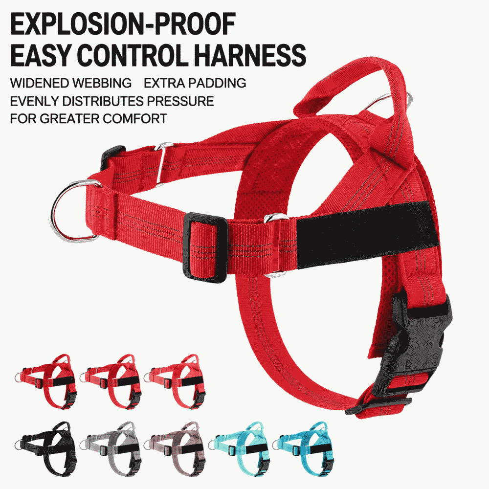 Easy-to-fit lightweight dog harness with medium and large explosion-proof border collie pet leash
