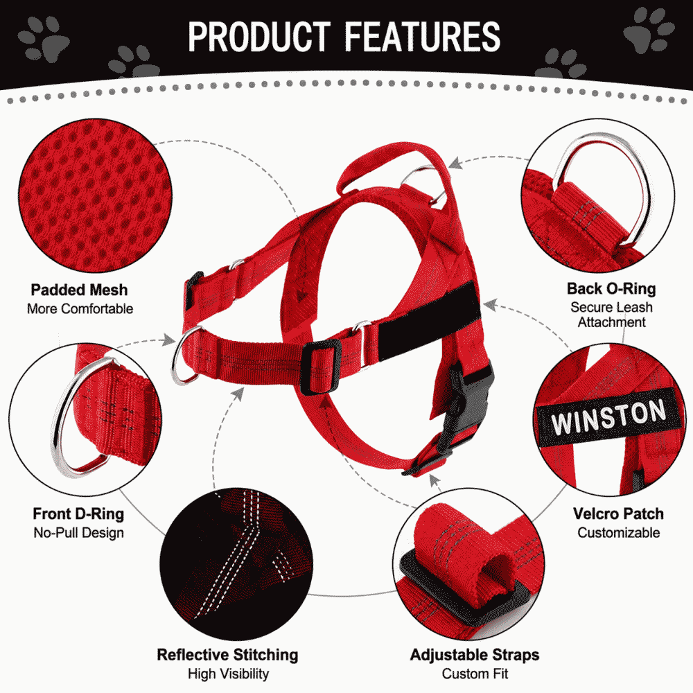 Easy-to-fit lightweight dog harness with medium and large explosion-proof border collie pet leash