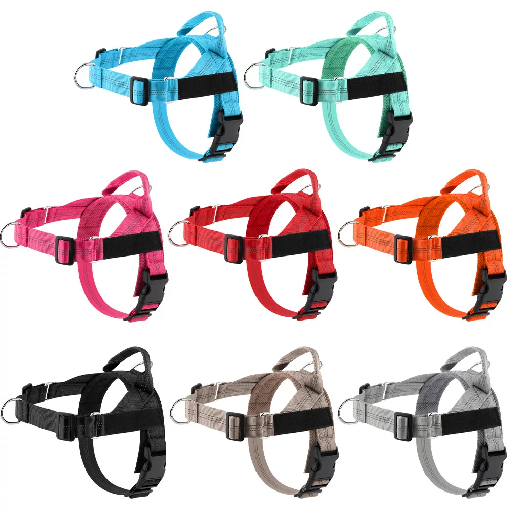 Cross-border Amazon bestseller, easy-to-fit lightweight dog chest and back strap, medium and large-sized explosion-proof border Collie pet leash