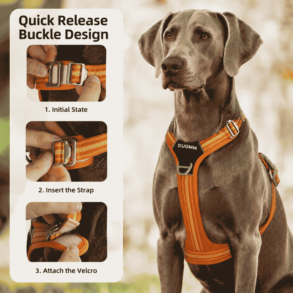 Dog leash explosion-proof reflective wear-resistant double-layer pet harness outdoor reflective wear-resistant double-layer dog harness for large dogs