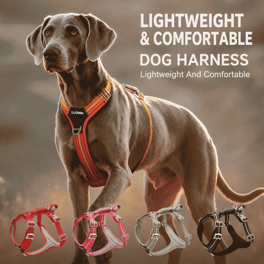 Dog leash explosion-proof reflective wear-resistant double-layer pet harness outdoor reflective wear-resistant double-layer dog harness for large dogs