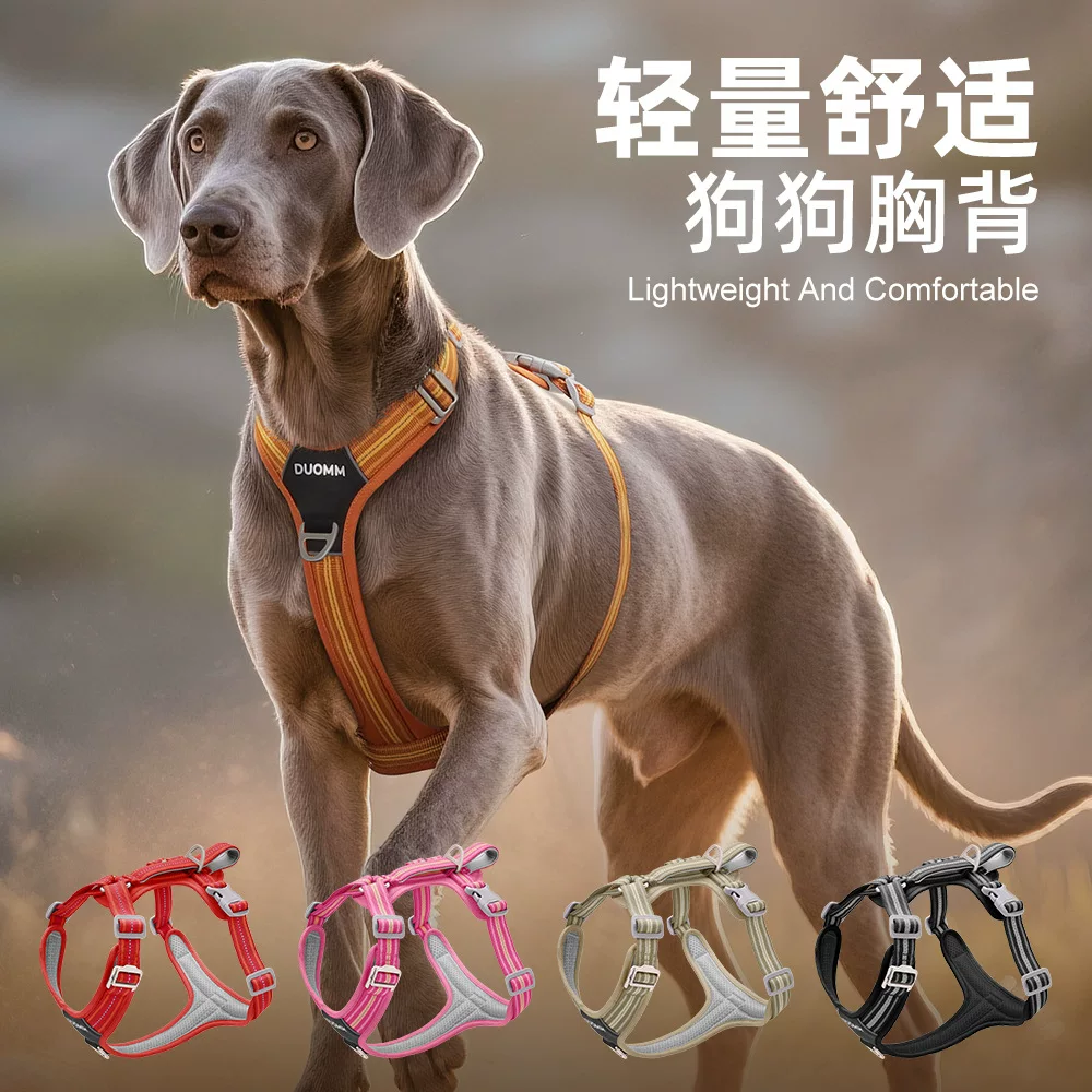 Cross-border dog leashes, explosion-proof pet chest and back straps, outdoor reflective and wear-resistant duplex dog straps, large dog chest and back straps