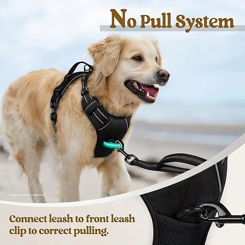 Amazon dog leash, pet chest and back nylon dog leash, large dog chest and back straps, pet supplies factory wholesale