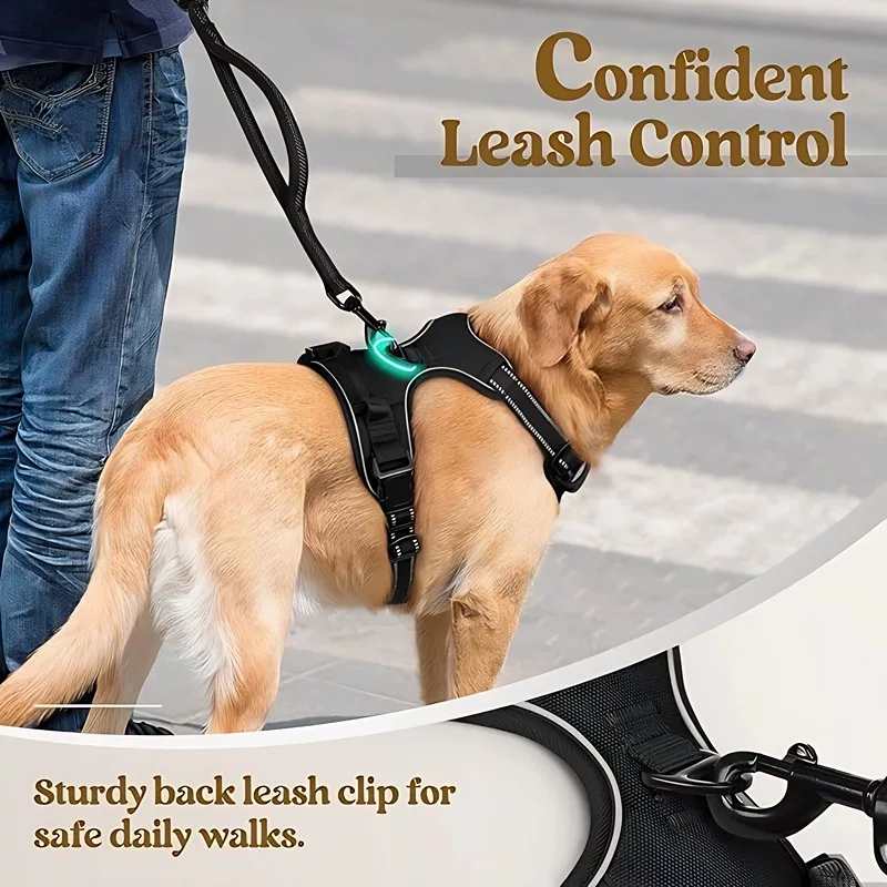 Amazon dog leash, pet chest and back nylon dog leash, large dog chest and back straps, pet supplies factory wholesale
