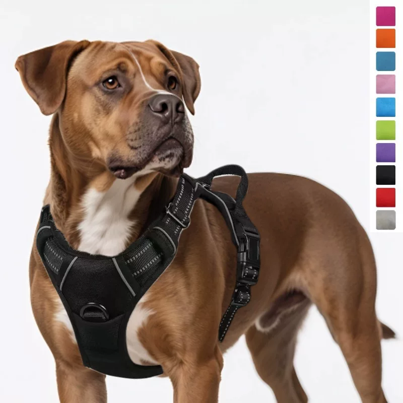 Amazon dog leash, pet chest and back nylon dog leash, large dog chest and back straps, pet supplies factory wholesale