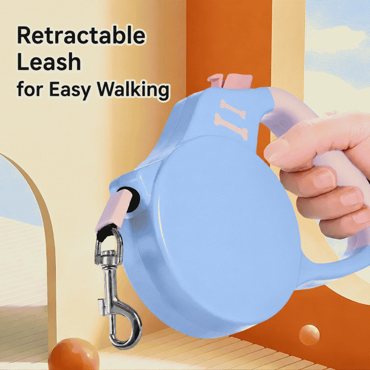Popular dog leash and harness for outdoor dog walking, automatic retractable equipment, corgi pet supplies