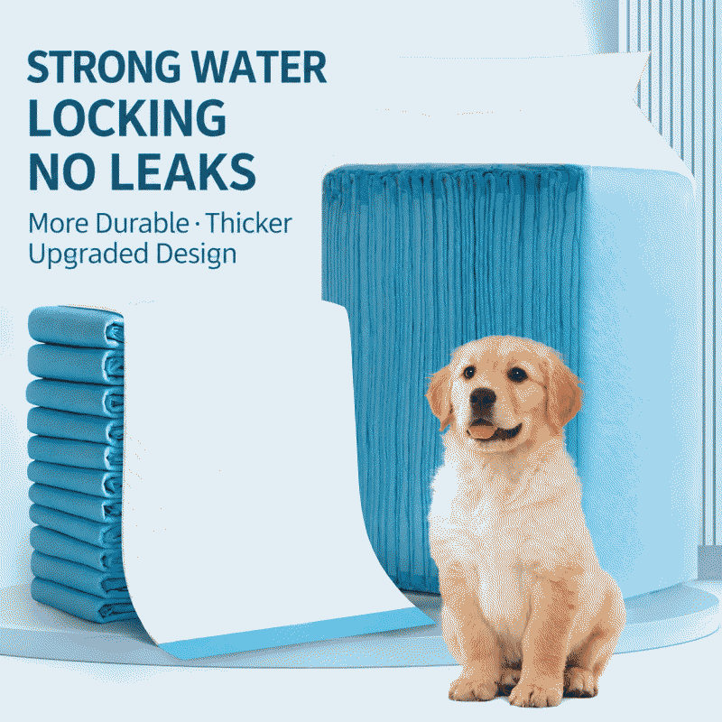 Dog urine pads, pet products, large quantity of dog diapers, absorbent urine pads, urine-proofing products