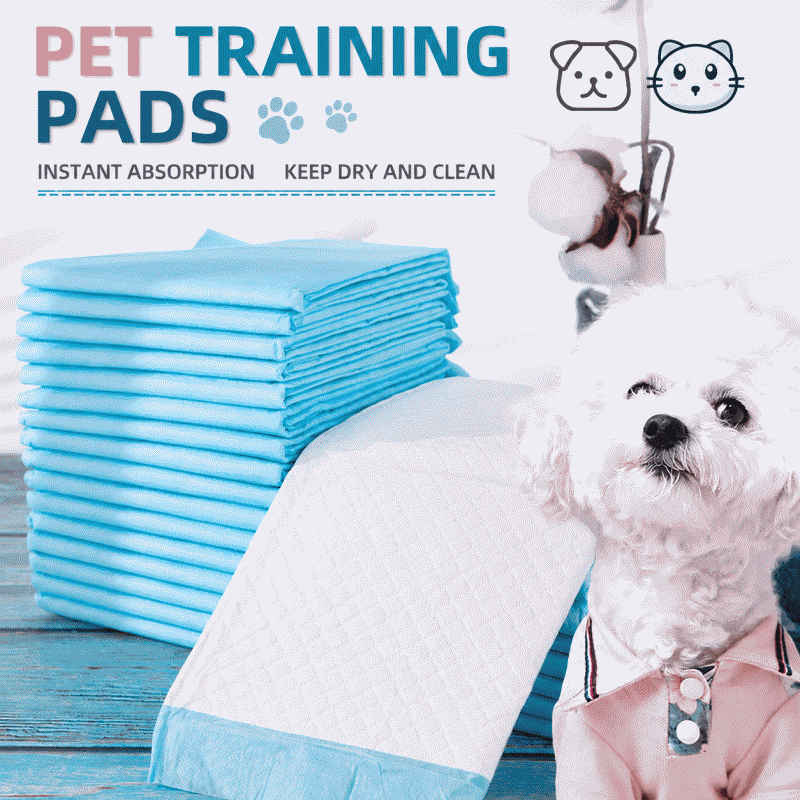 Dog urine pad, thickened deodorizing absorbent pad, teddy bear diaper, cat diaper, sanitary pad, urine sheet, pet diaper